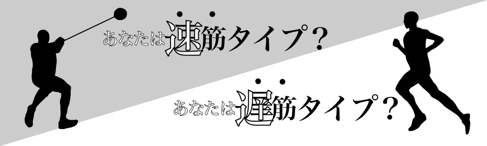 2つの筋繊維タイプ